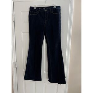 Loft Modern Flare Jeans